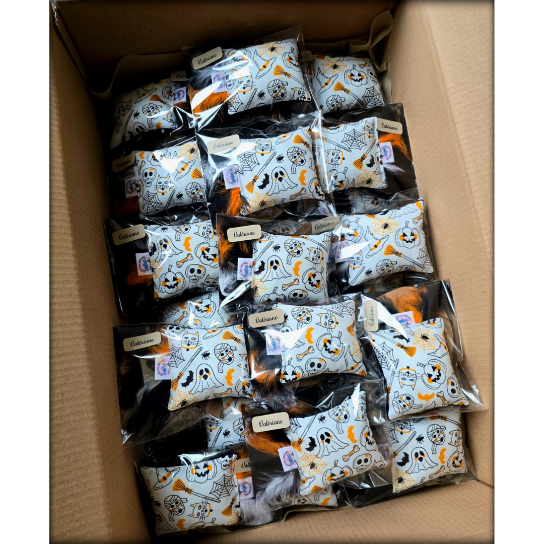 Coussin à la Valériane – Édition Halloween 🎃