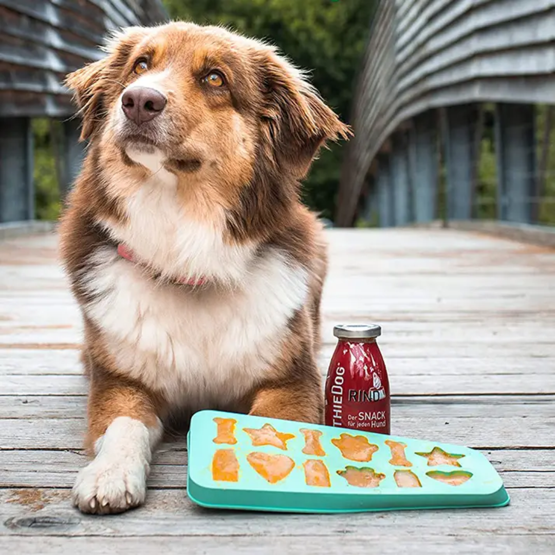 Bac à glaçons pour crème glacée pour chien, moule sans BPA en 100% silicone