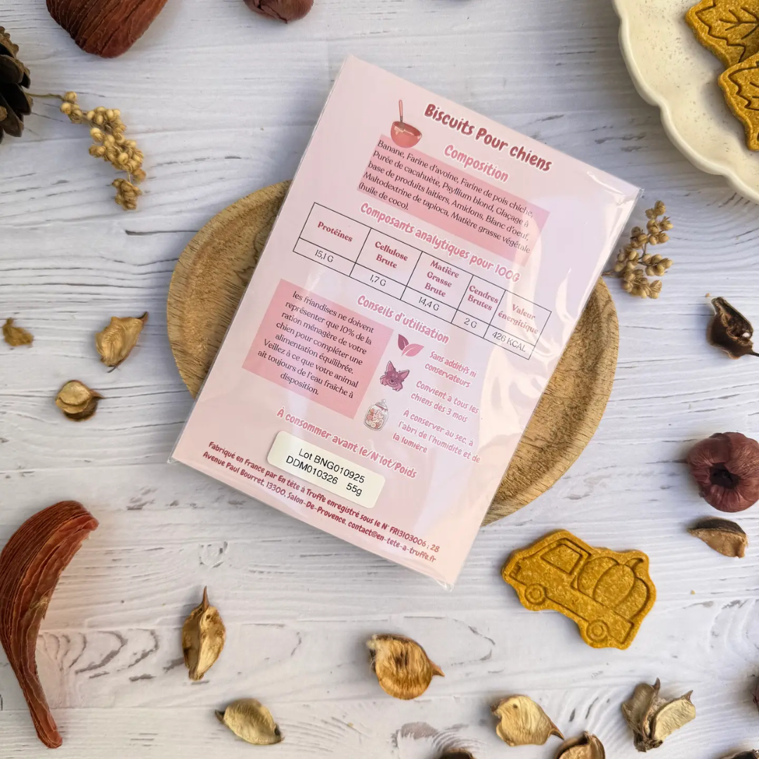 Biscuits pour chien – Édition Automne 🍂