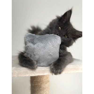CACHEMIR' - Coussin à la Valériane apaisant pour chat
