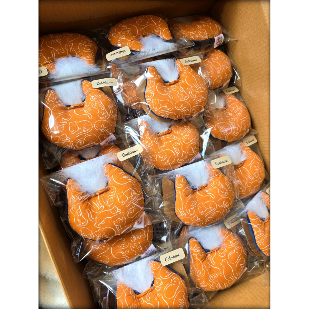 Coussin à la valériane - Jouet créateur pour chats