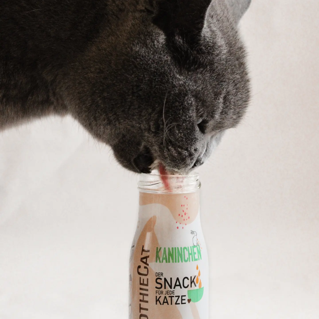 Smoothie au Lapin, snack naturel pour chat, sans sucre