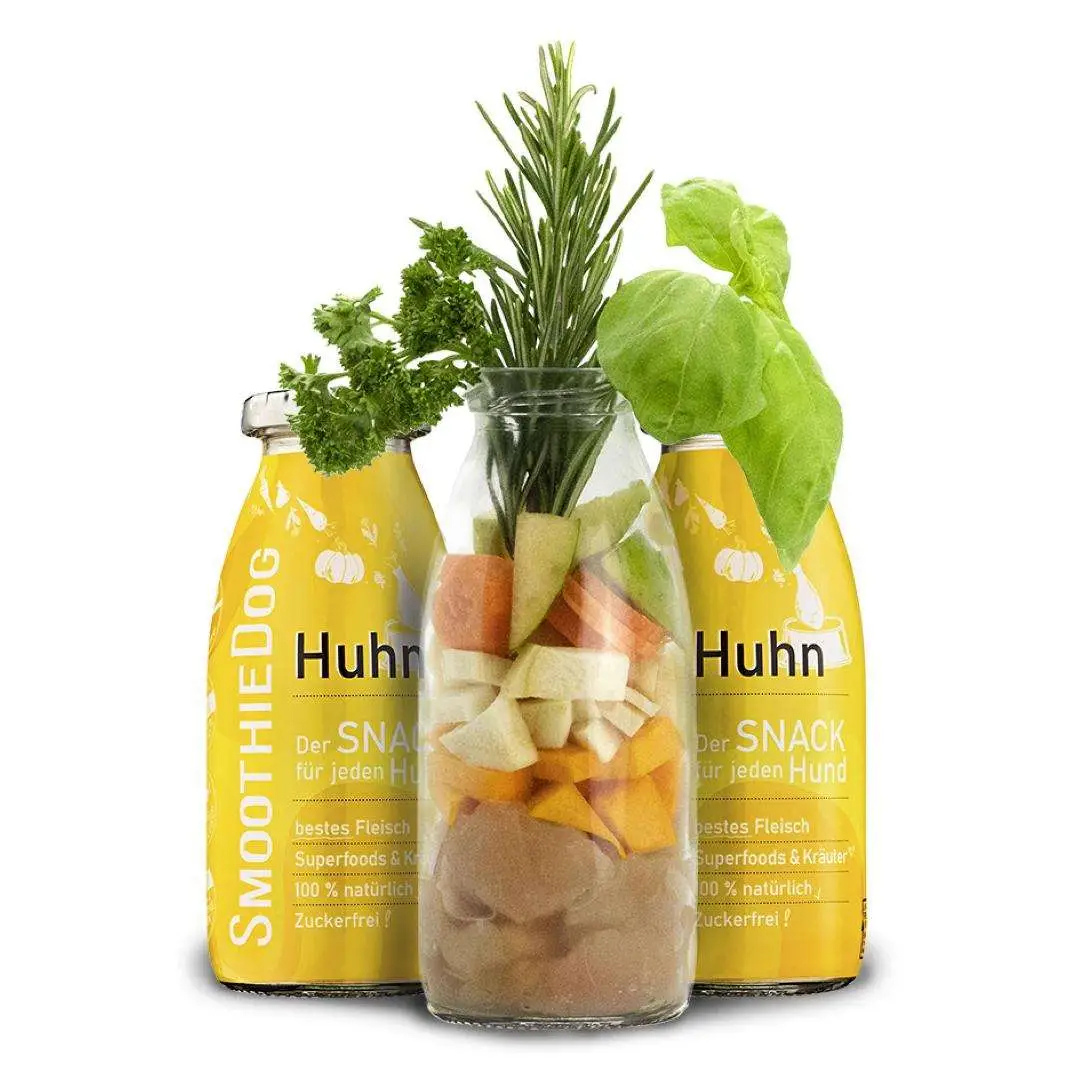 Smoothie pour chien - Poulet, collation naturelle pour chiens, sans sucre