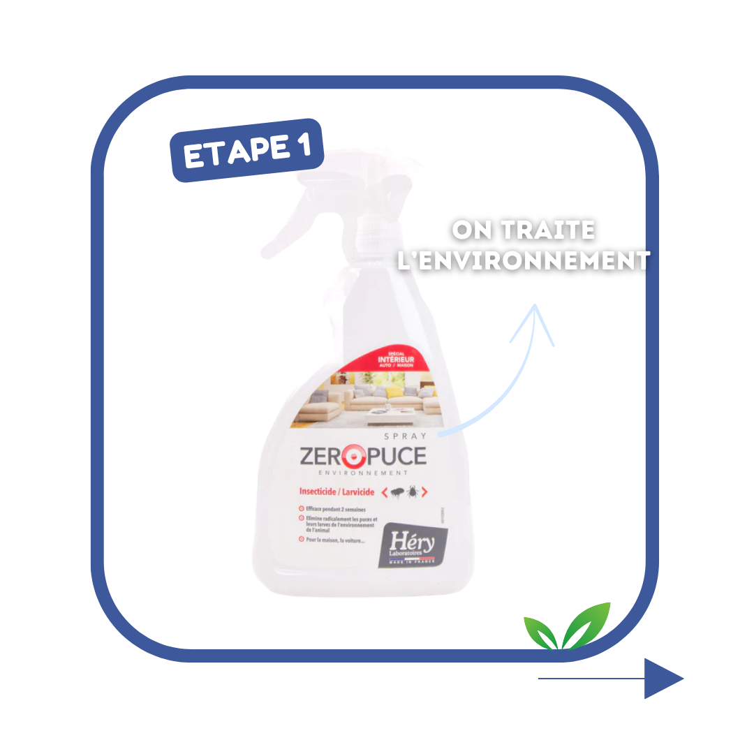 Kit Antiparasitaire pour chien – Pour bien préparer l'été !