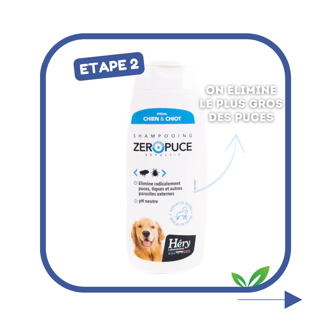 Kit Antiparasitaire pour chien – Pour bien préparer l'été !