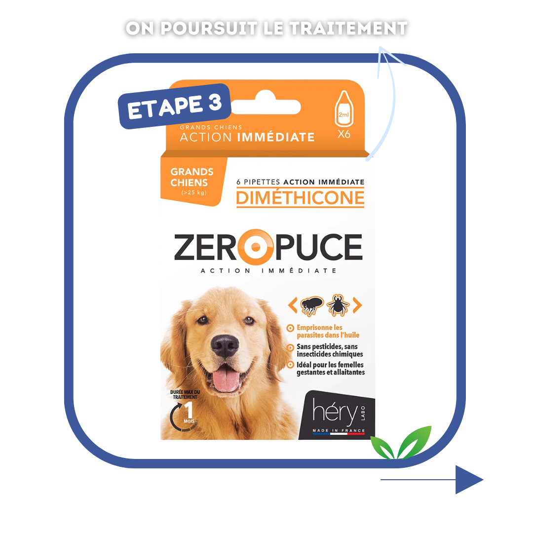 Kit Antiparasitaire pour chien – Pour bien préparer l'été !