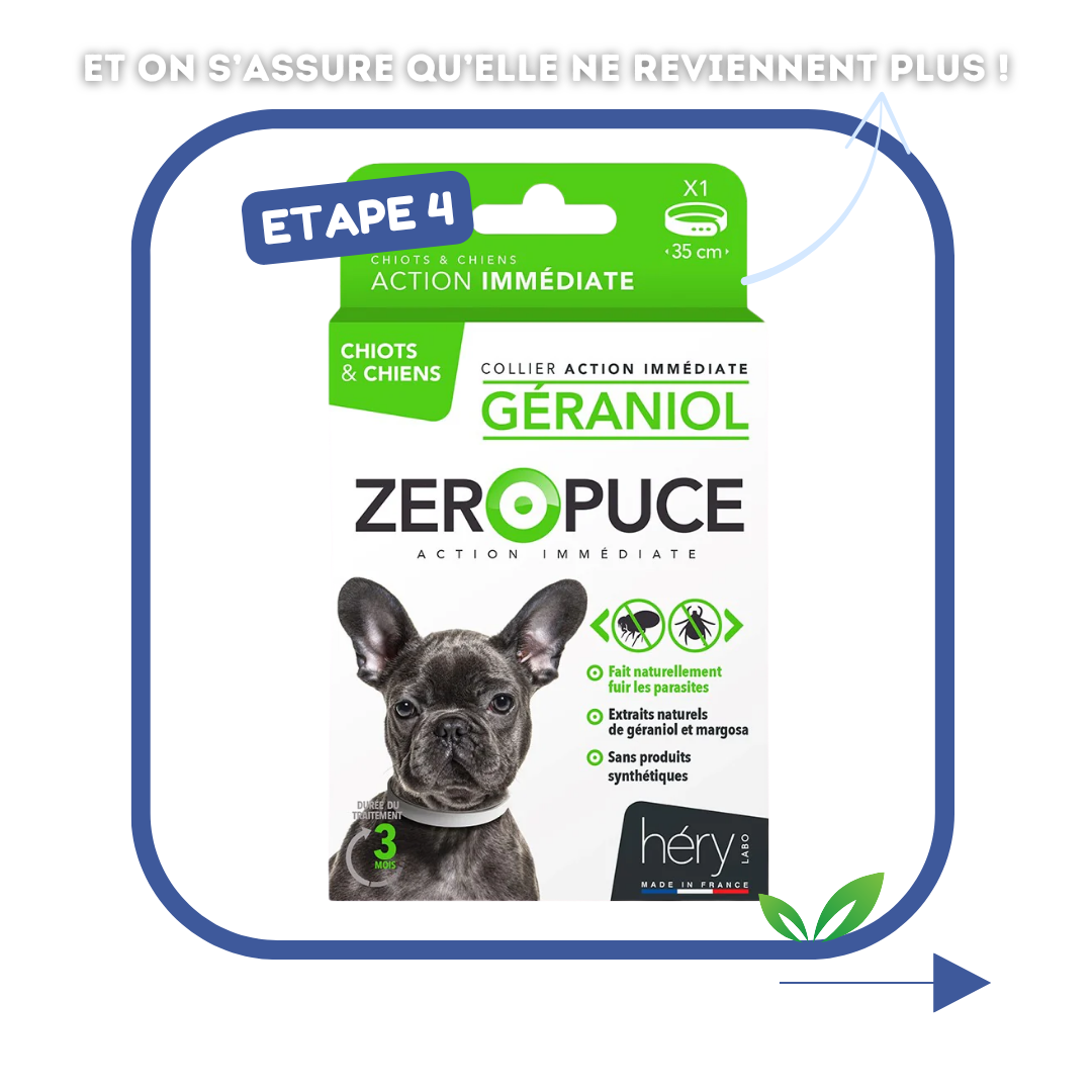 Kit Antiparasitaire pour chien – Pour bien préparer l'été !
