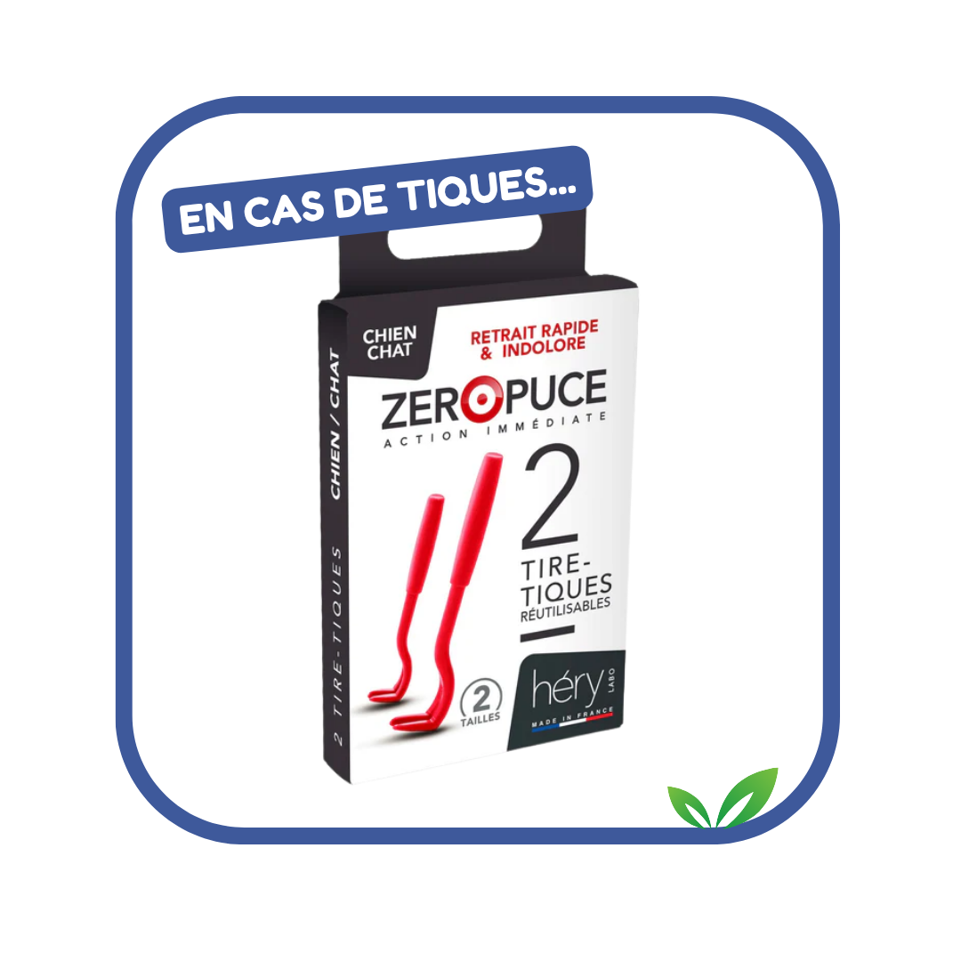 Kit Antiparasitaire pour chien – Pour bien préparer l'été !