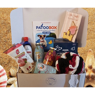 Patoobox 2nd chance - AOUT 2026