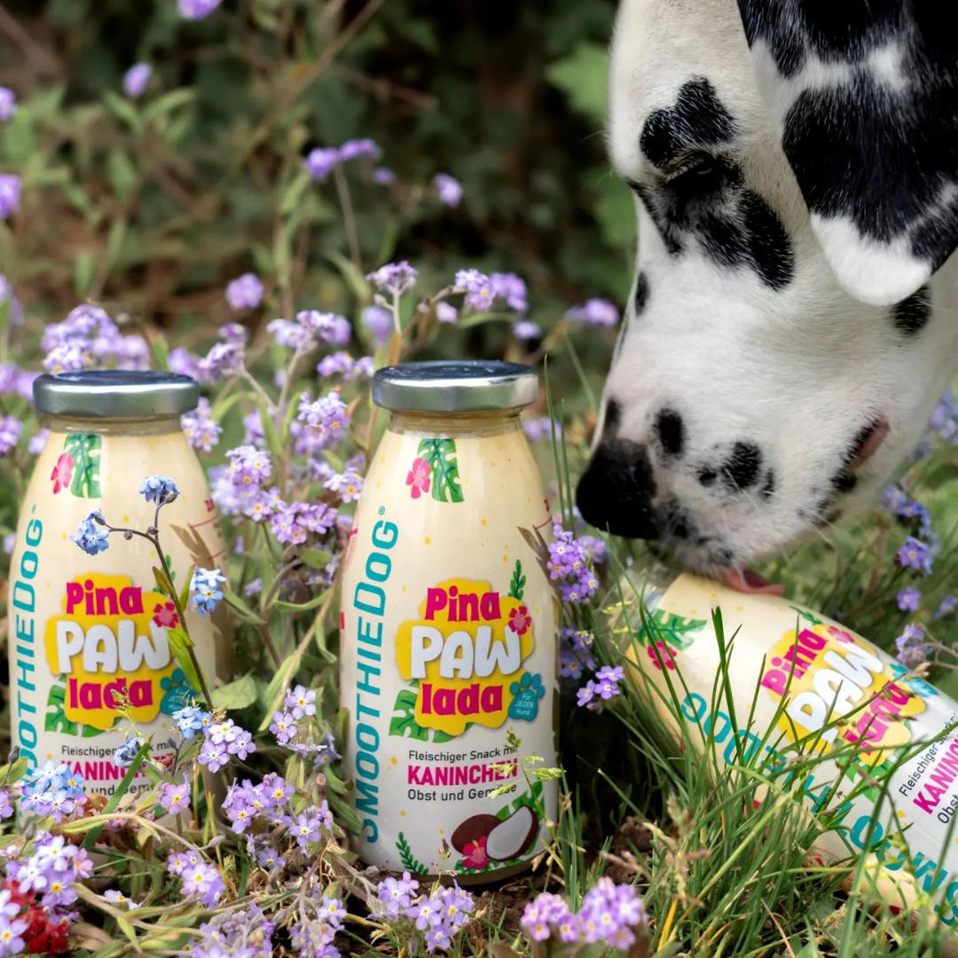 Smoothie pour chiens PinaPawLada (sans sucre)