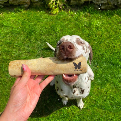 Jouet de mastication pour chien en bois de Cafeier (5 tailles)