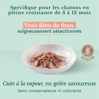 Gelée Schésir au Thon | 85gr | Spécial chaton 3-12 mois