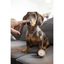 Baume Truffe & Coussinets “Velours” – Chien & Chat
