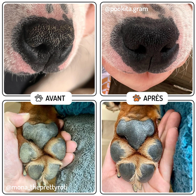 Baume Truffe & Coussinets “Velours” – Chien & Chat