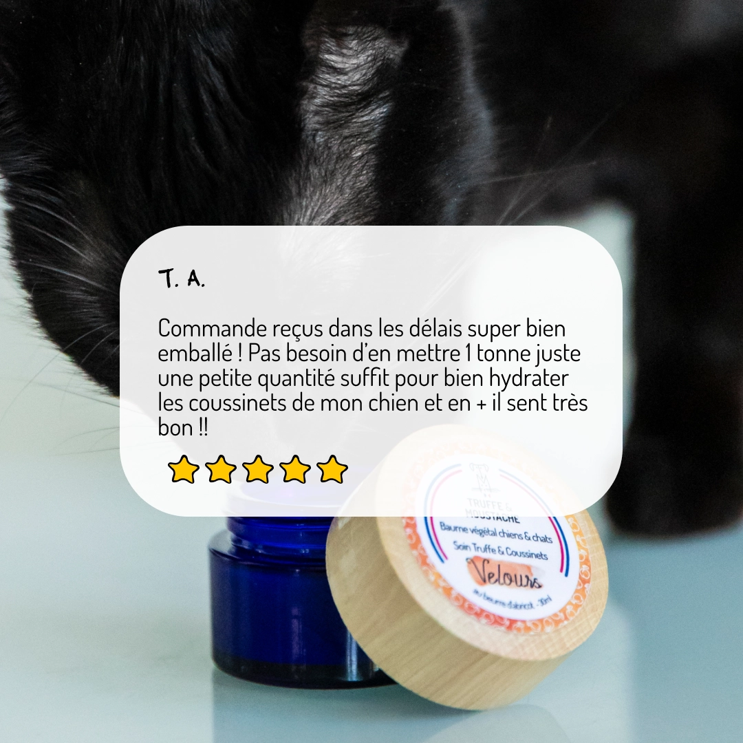 Baume Truffe & Coussinets “Velours” – Chien & Chat
