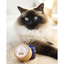 Baume Truffe & Coussinets “Velours” – Chien & Chat