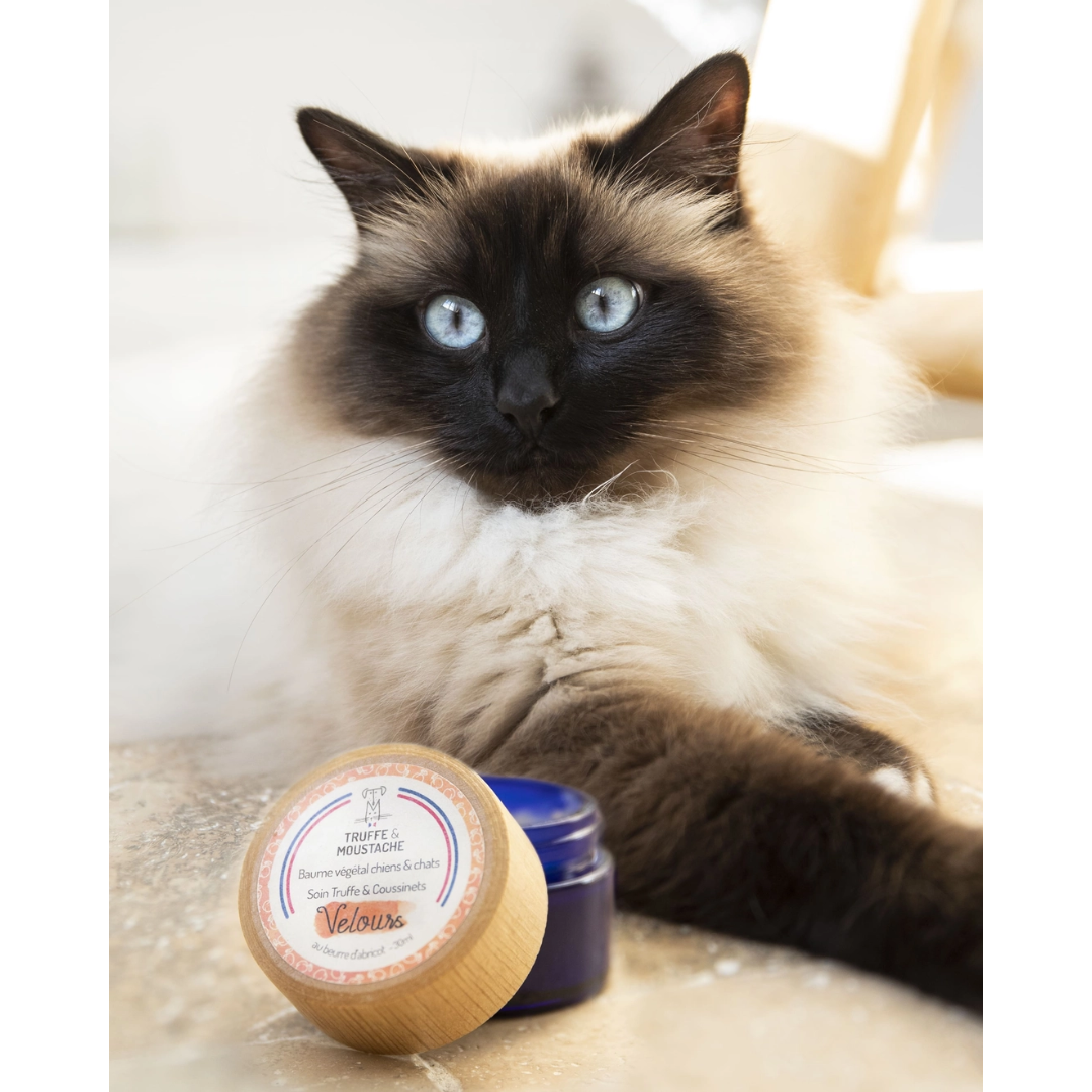 Baume Truffe & Coussinets “Velours” – Chien & Chat