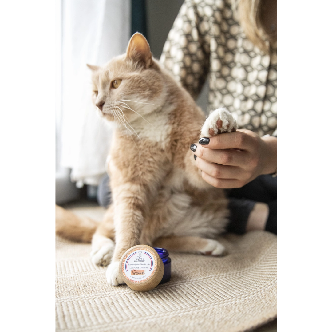 Baume Truffe & Coussinets “Velours” – Chien & Chat