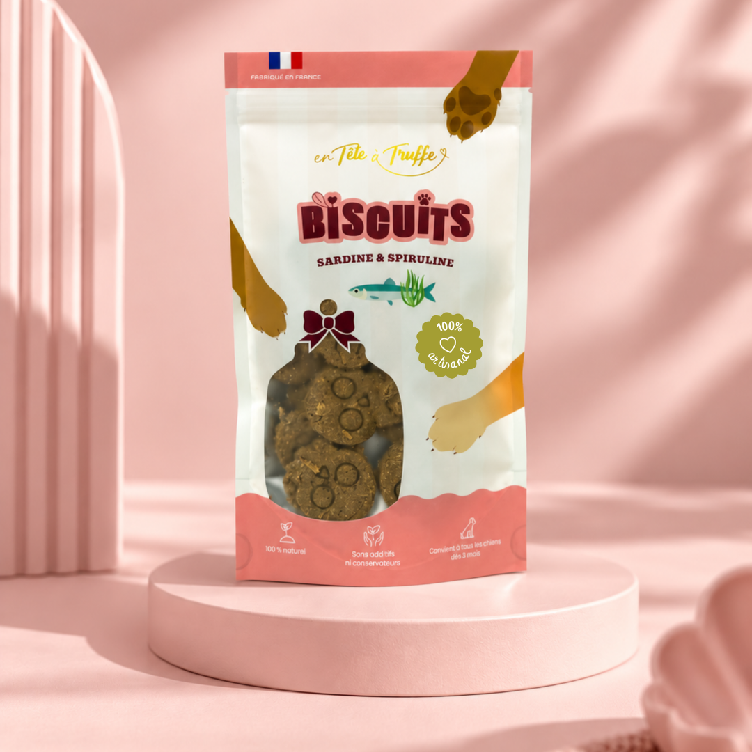 Biscuits Halloween Sardine et Spiruline