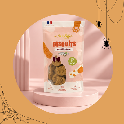 Biscuits Halloween Saumon