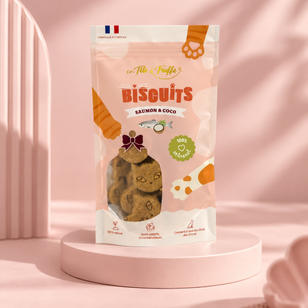 Biscuits Halloween Saumon