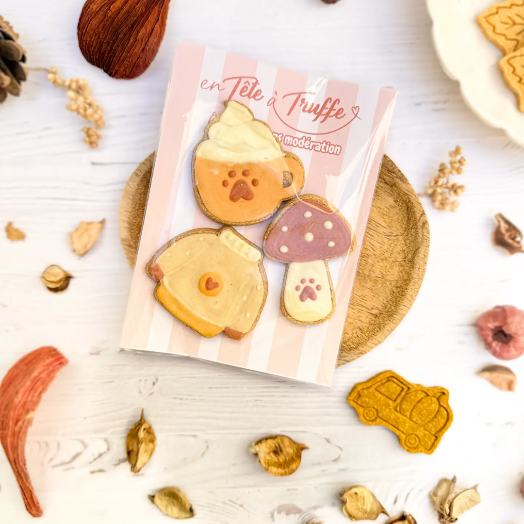 Biscuits pour chien – Édition Automne 🍂