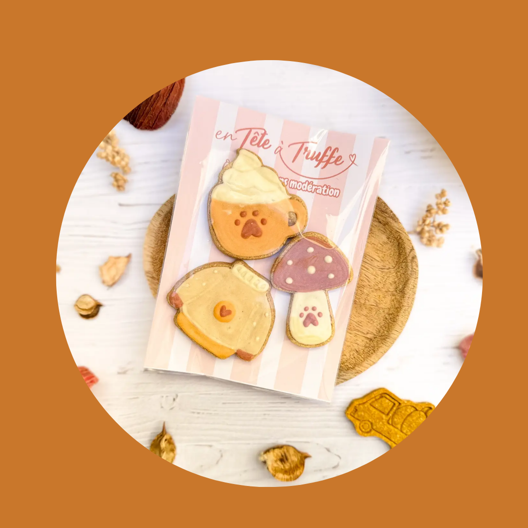 Biscuits pour chien – Édition Automne 🍂