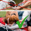 Bouteille à boire pour chien 350 ml