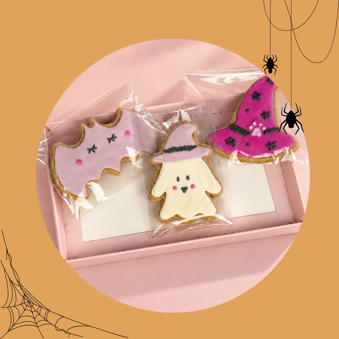 Box de Biscuits Halloween