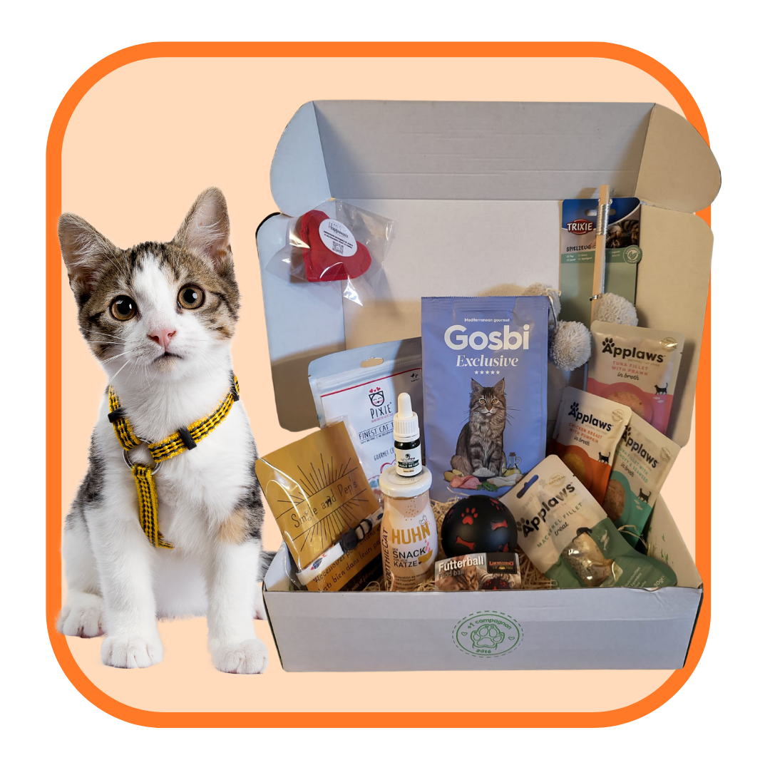 L'incontournable MATOOBOX