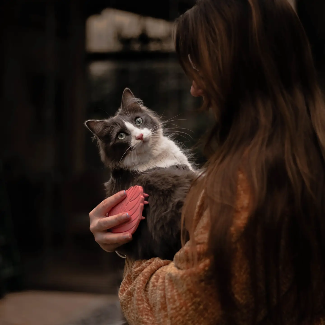 Brosse pour chat – Brush de Retorn