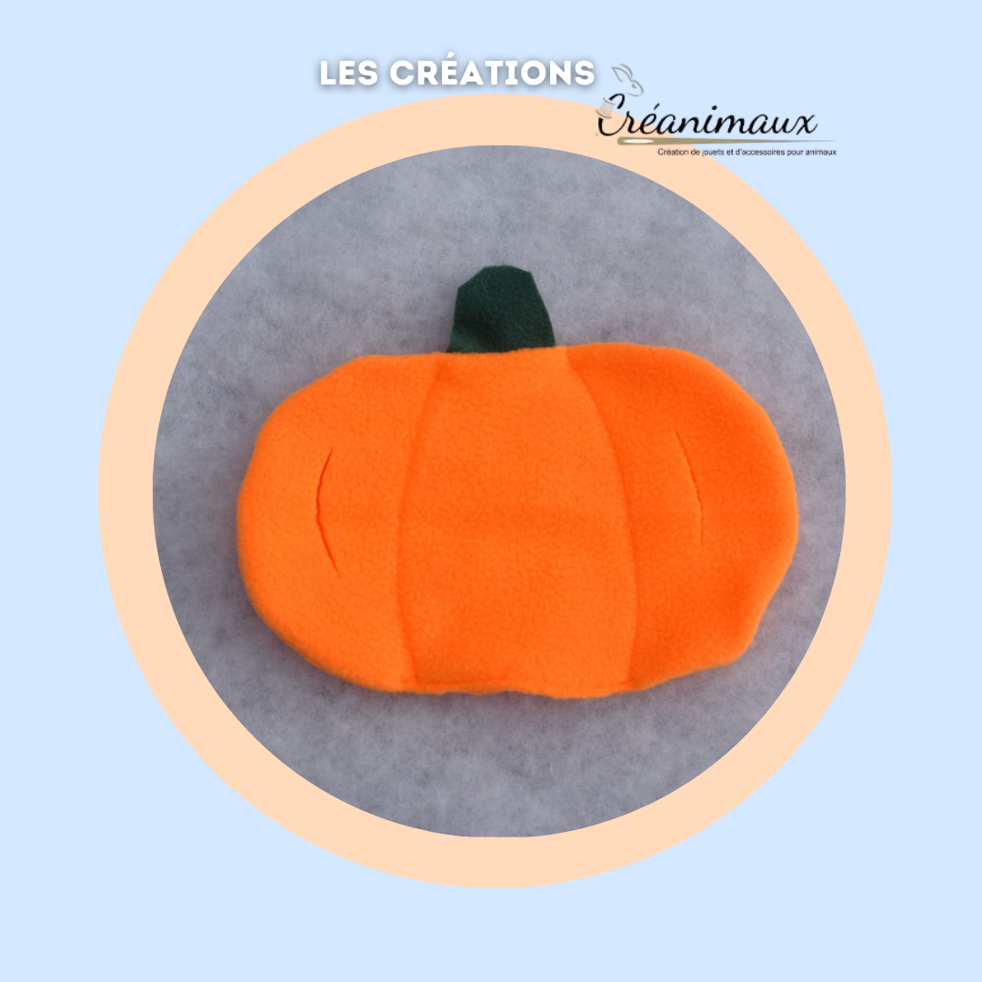 Citrouille de Fouille – Jouet Créateur pour Chats et Chiens 🎃 (3 tailles)