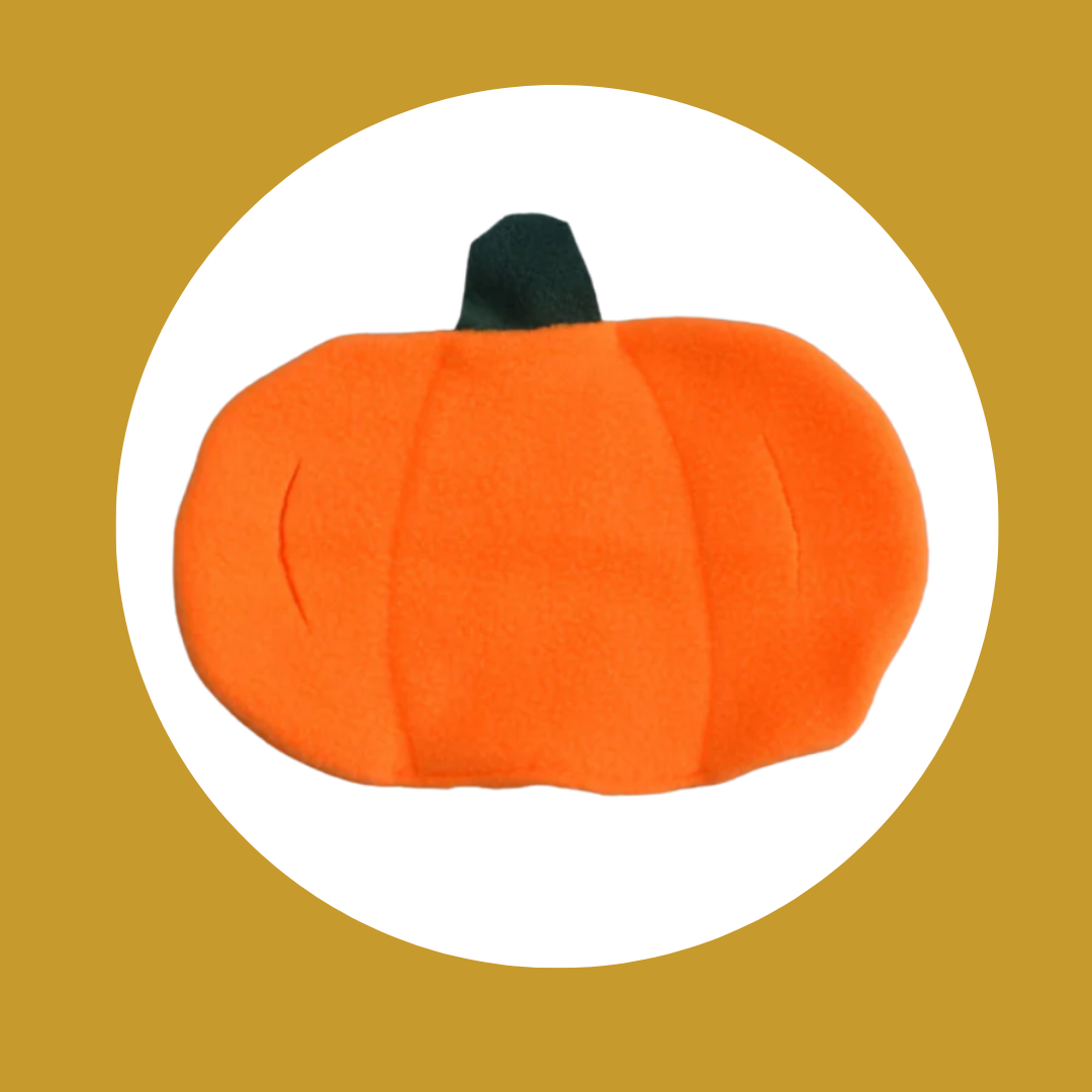 Citrouille de Fouille – Jouet Créateur pour Chats et Chiens 🎃 (3 tailles)