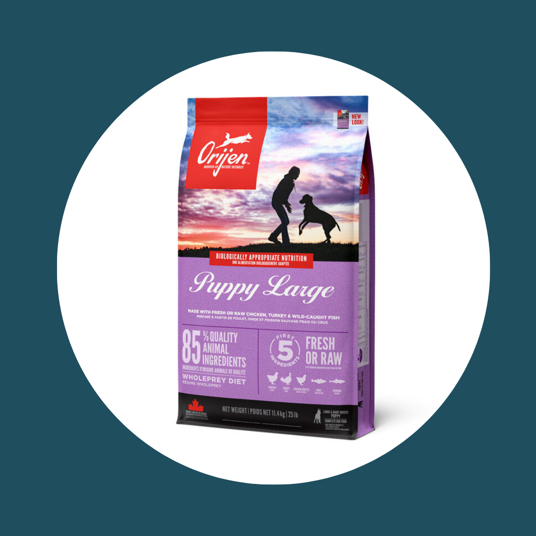 Croquettes ORIJEN Puppy Large (2 tailles)