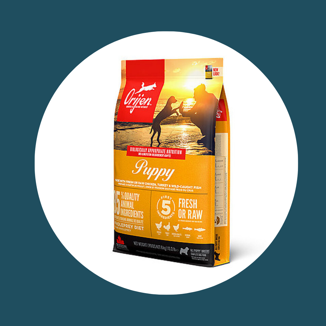 Croquettes ORIJEN Puppy (6 kg)