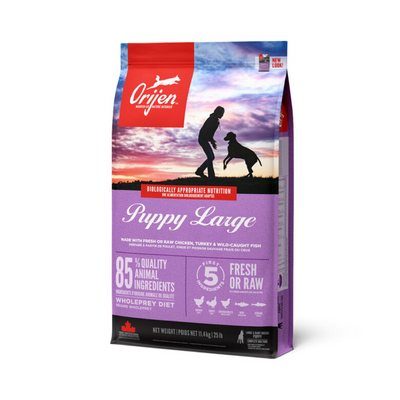Croquettes ORIJEN Puppy Large (Maxi) – 11,4 kg