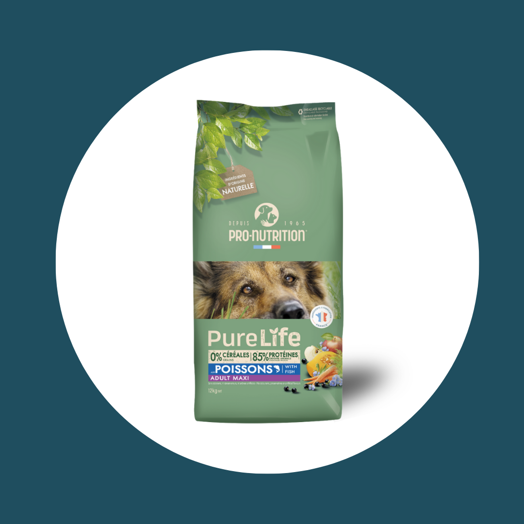 Croquettes PURE LIFE pour chien MAXI (12 kg)