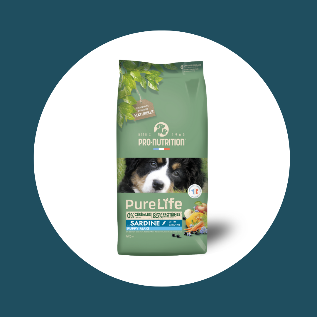 Croquettes PURE LIFE pour chiot MAXI (12 kg)