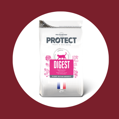 Croquettes vétérinaires pour chat PROTECT | DIGEST (2 kg)