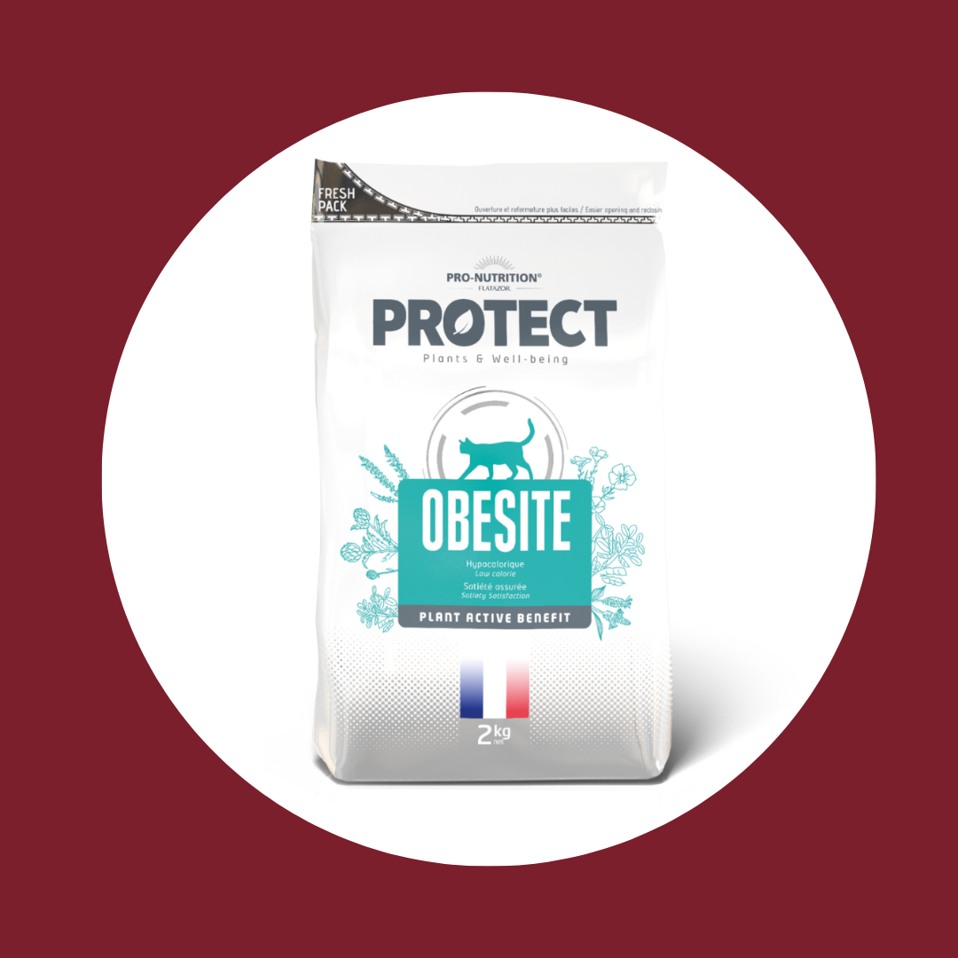Croquettes vétérinaires pour chat PROTECT | OBESITE (2 kg)