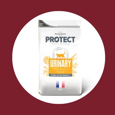 Croquettes vétérinaires pour chat PROTECT | URINARY (2 tailles)