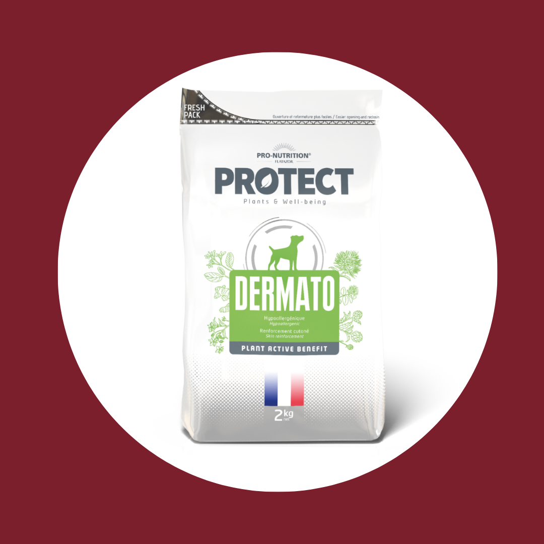 Croquettes vétérinaires pour chien PROTECT | DERMATO (2 tailles)