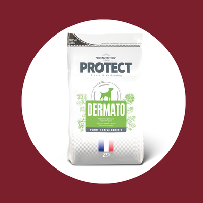 Croquettes vétérinaires pour chien PROTECT | DERMATO (2 tailles)