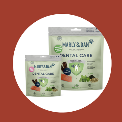 Dental Care pour chien (x7 Sticks) – Marly&Dan