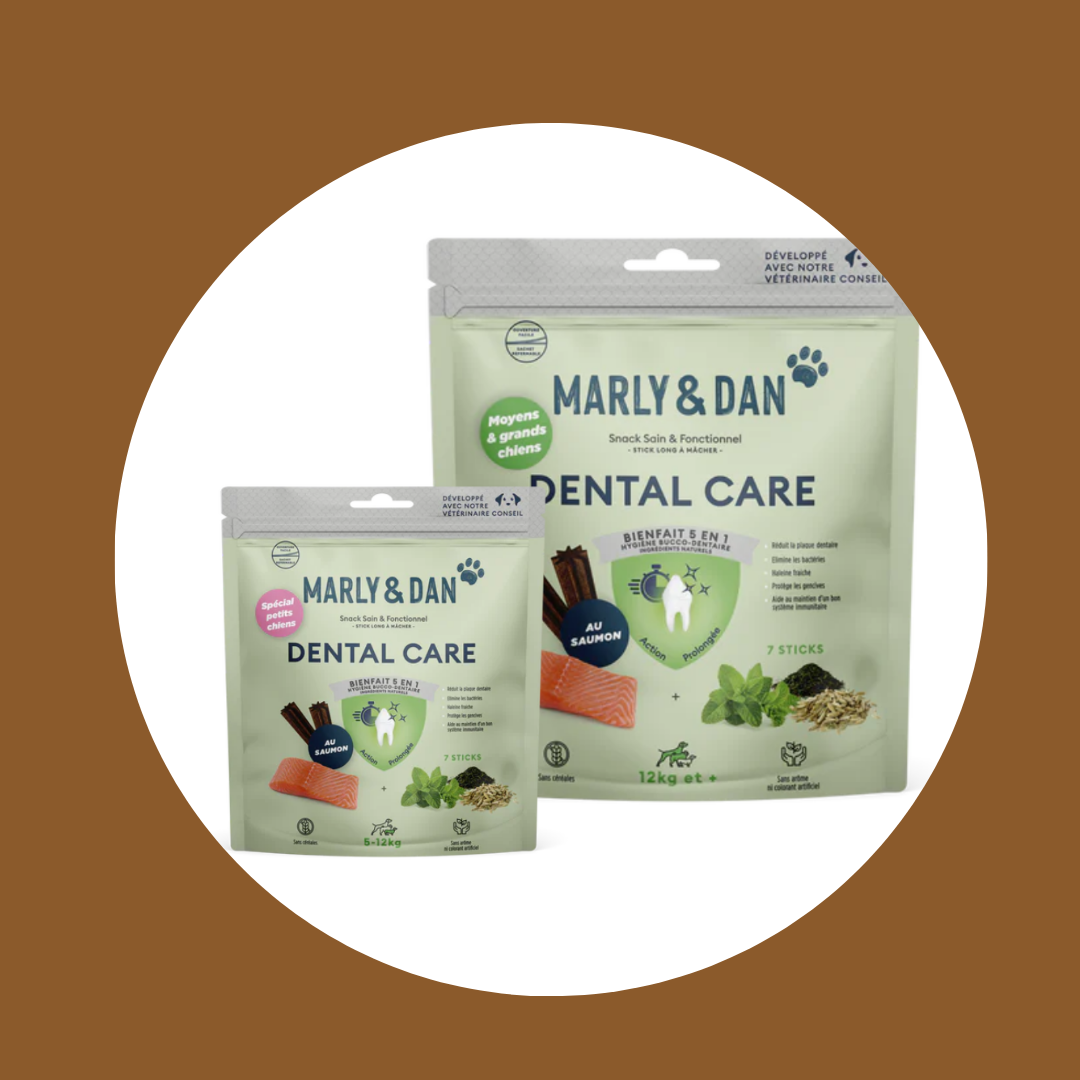 Dental Care pour chien (x7 Sticks) – Marly&Dan