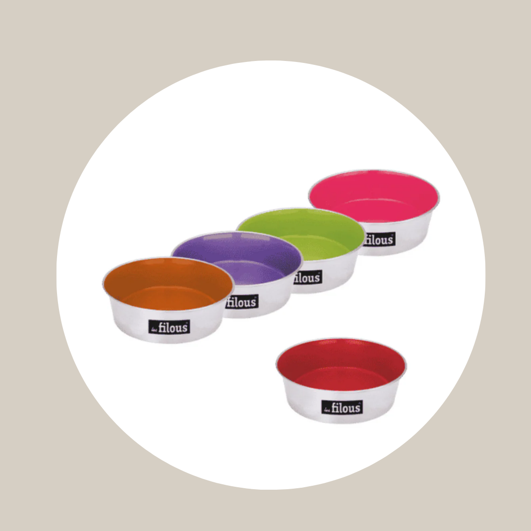 Gamelle antidérapante pour chat – Les Filous