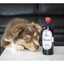 Complément alimentaire Harmonie, pour chats & chiens