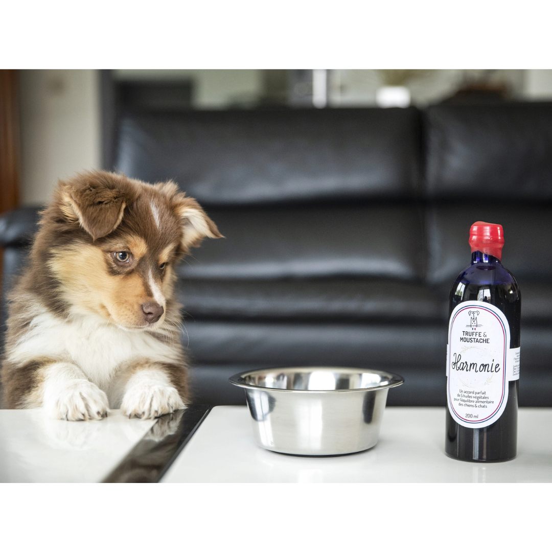 Complément alimentaire Harmonie, pour chats & chiens