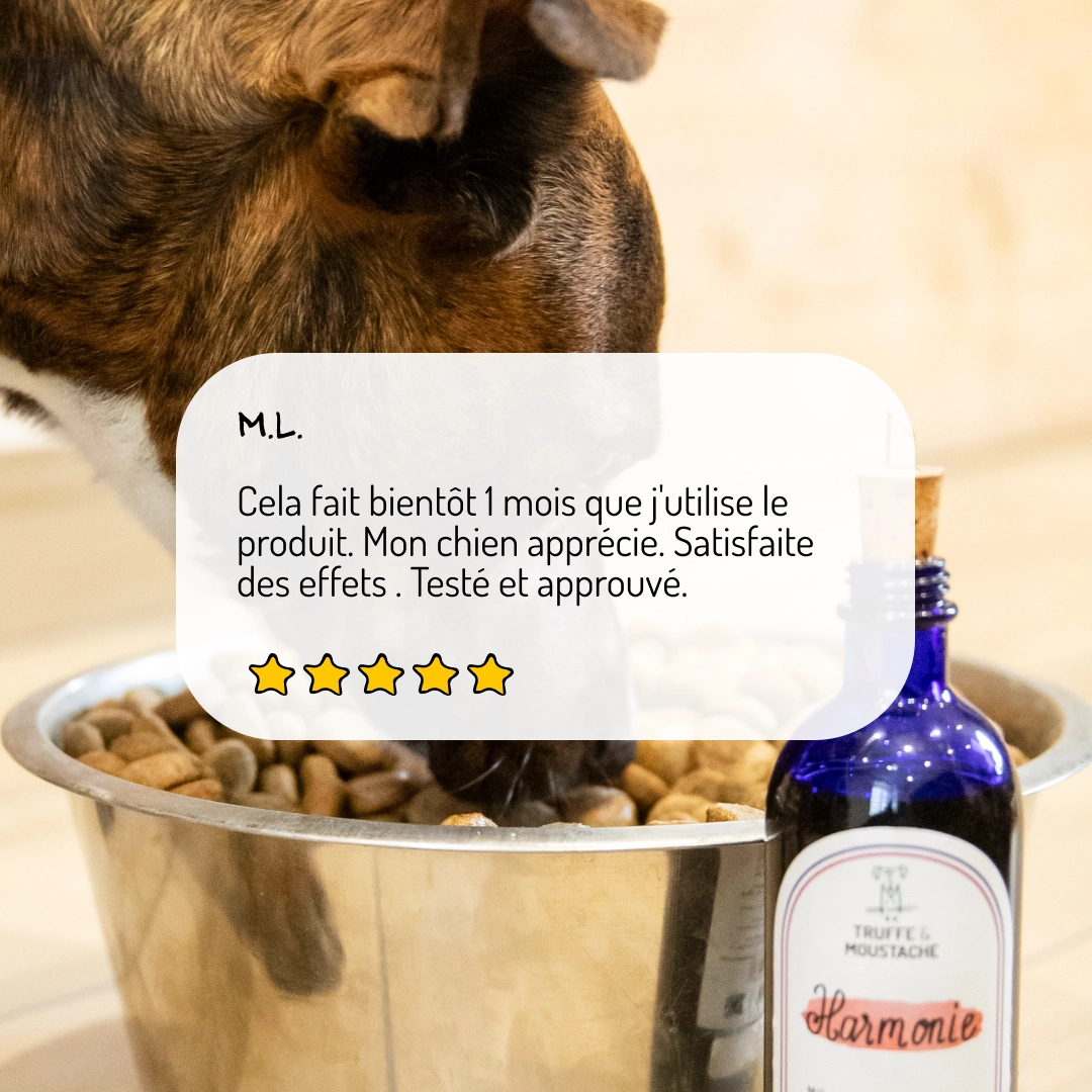 Complément alimentaire Harmonie, pour chats & chiens