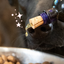 Complément alimentaire Harmonie, pour chats & chiens